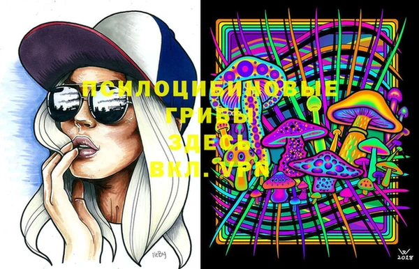 экстази Арсеньев
