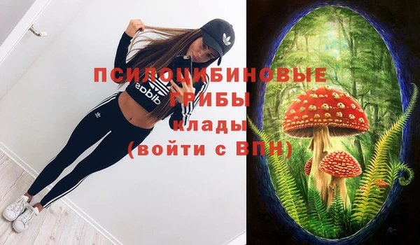 ПСИЛОЦИБИНОВЫЕ ГРИБЫ Армянск