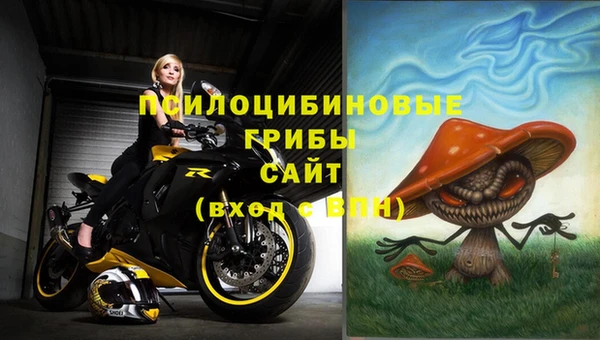 экстази Арсеньев
