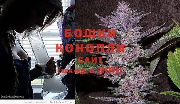 экстази Арсеньев
