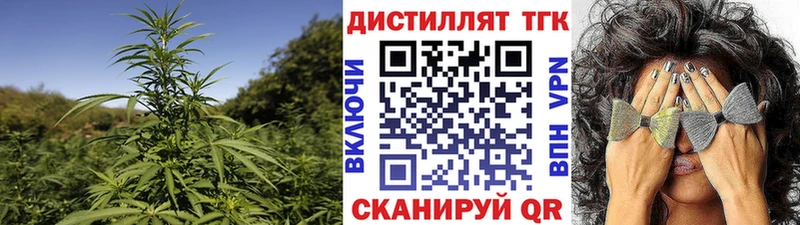 ТГК концентрат  Сегежа 