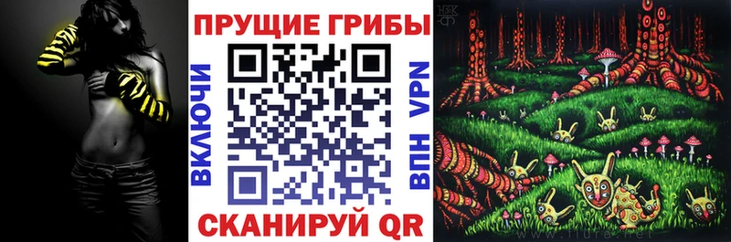 Псилоцибиновые грибы прущие грибы наркота Сегежа